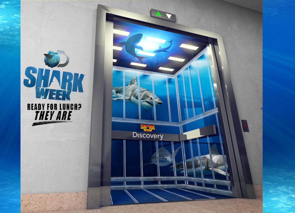 Shark Week Wrap Design by Anthony Colonna